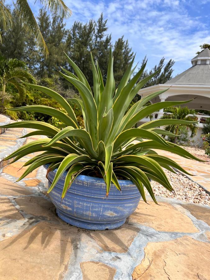 Bed and Breakfast ZumZum Beach House Kinondo Exterior foto